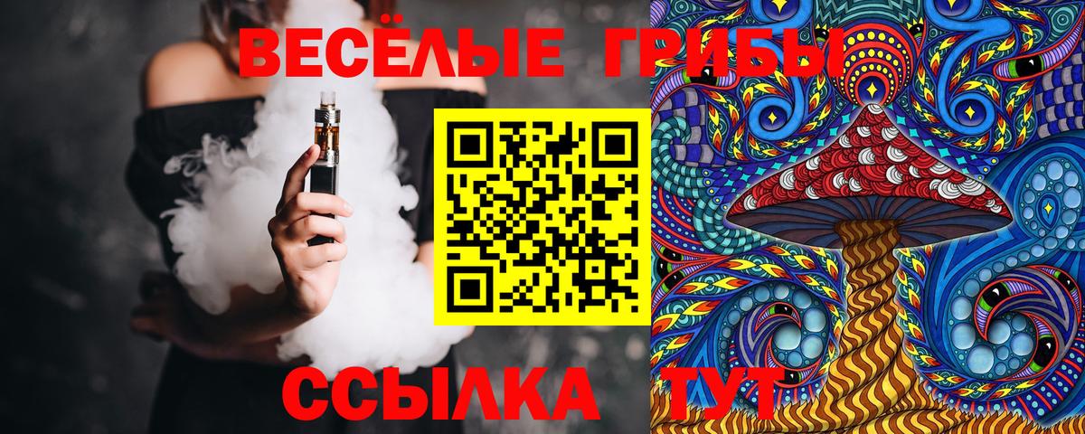 Галлюциногенные грибы Psilocybe Рассказово